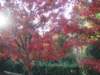 dsc01399_small.jpg
