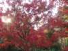 dsc01400_small.jpg