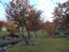 dsc01401_small.jpg