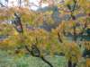 dsc01404_small.jpg