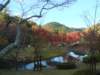 dsc01405_small.jpg