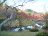 dsc01406_small.jpg