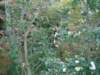 dsc01410_small.jpg