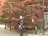 dsc01415_small.jpg
