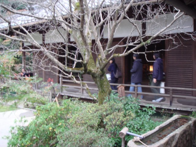 dsc01419.jpg
