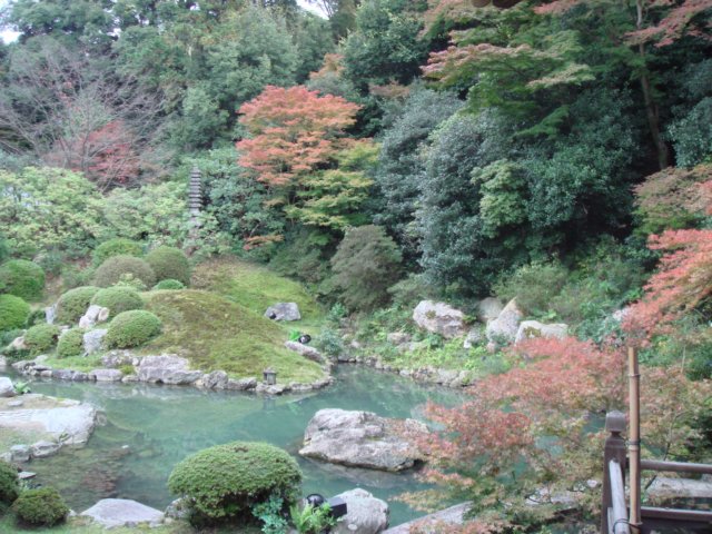 dsc01422.jpg