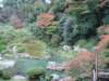 dsc01422_small.jpg