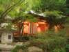 dsc01431_small.jpg