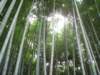 dsc01432_small.jpg