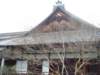 dsc01434_small.jpg