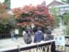 dsc01435_small.jpg