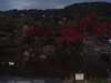dsc01443_small.jpg