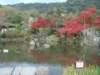 dsc01444_small.jpg