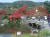 dsc01445_small.jpg