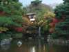 dsc01446_small.jpg