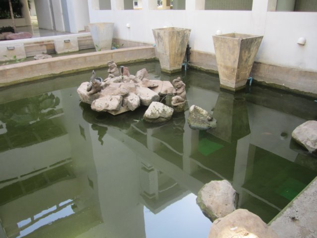 img_3179.jpg