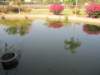 img_3183_small.jpg