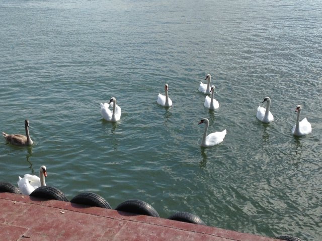 img_1496.jpg