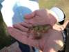 img_1501_small.jpg