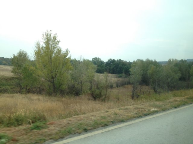 img_1704.jpg