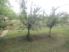 dscn0693_small.jpg