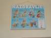 dscn0698_small.jpg