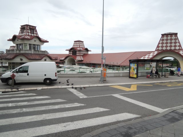 dscn0720.jpg