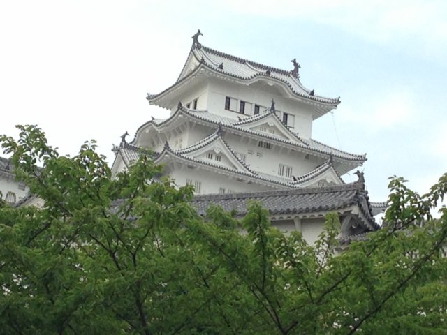 img_6580.jpg