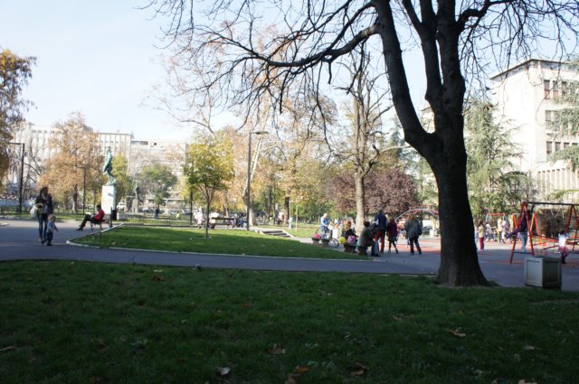 dsc06063.jpg