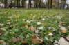 dsc06197_small.jpg