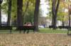 dsc06198_small.jpg