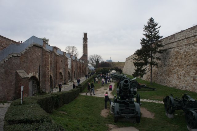 dsc06206.jpg