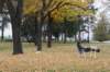 dsc06210_small.jpg