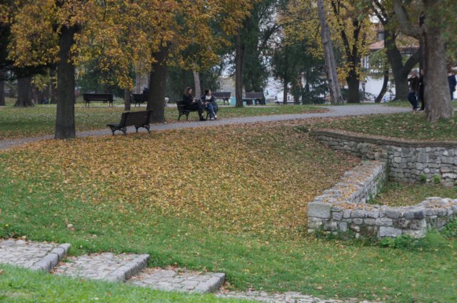 dsc06214.jpg