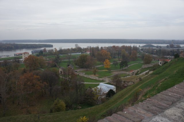 dsc06216.jpg