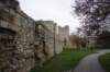 dsc06222_small.jpg