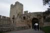 dsc06223_small.jpg