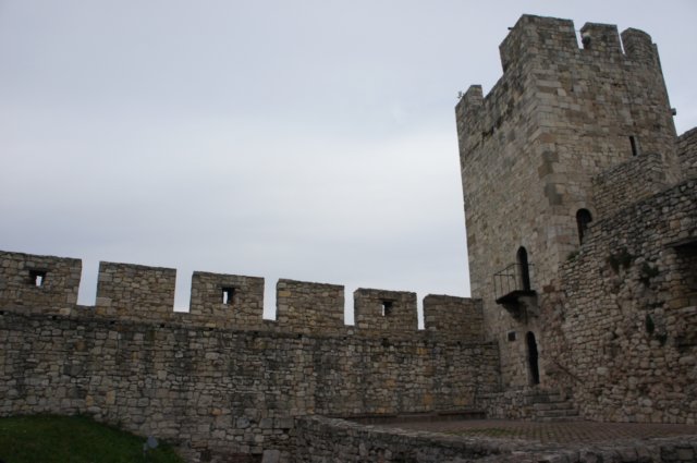 dsc06224.jpg