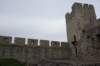 dsc06224_small.jpg