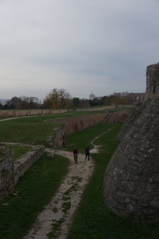dsc06228.jpg