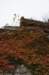 dsc06243_small.jpg