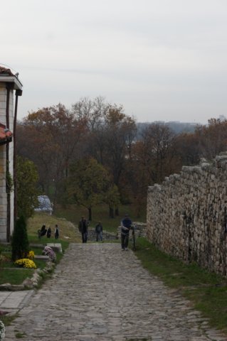 dsc06253.jpg