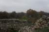 dsc06255_small.jpg