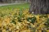 dsc06260_small.jpg