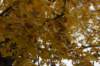 dsc06261_small.jpg