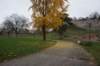 dsc06262_small.jpg