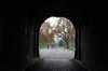 dsc06263_small.jpg