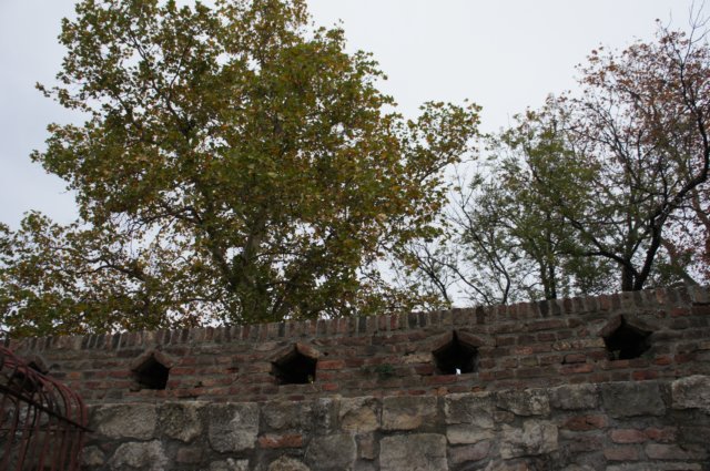 dsc06269.jpg
