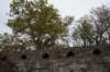 dsc06269_small.jpg