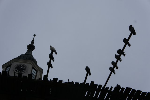 dsc06284.jpg